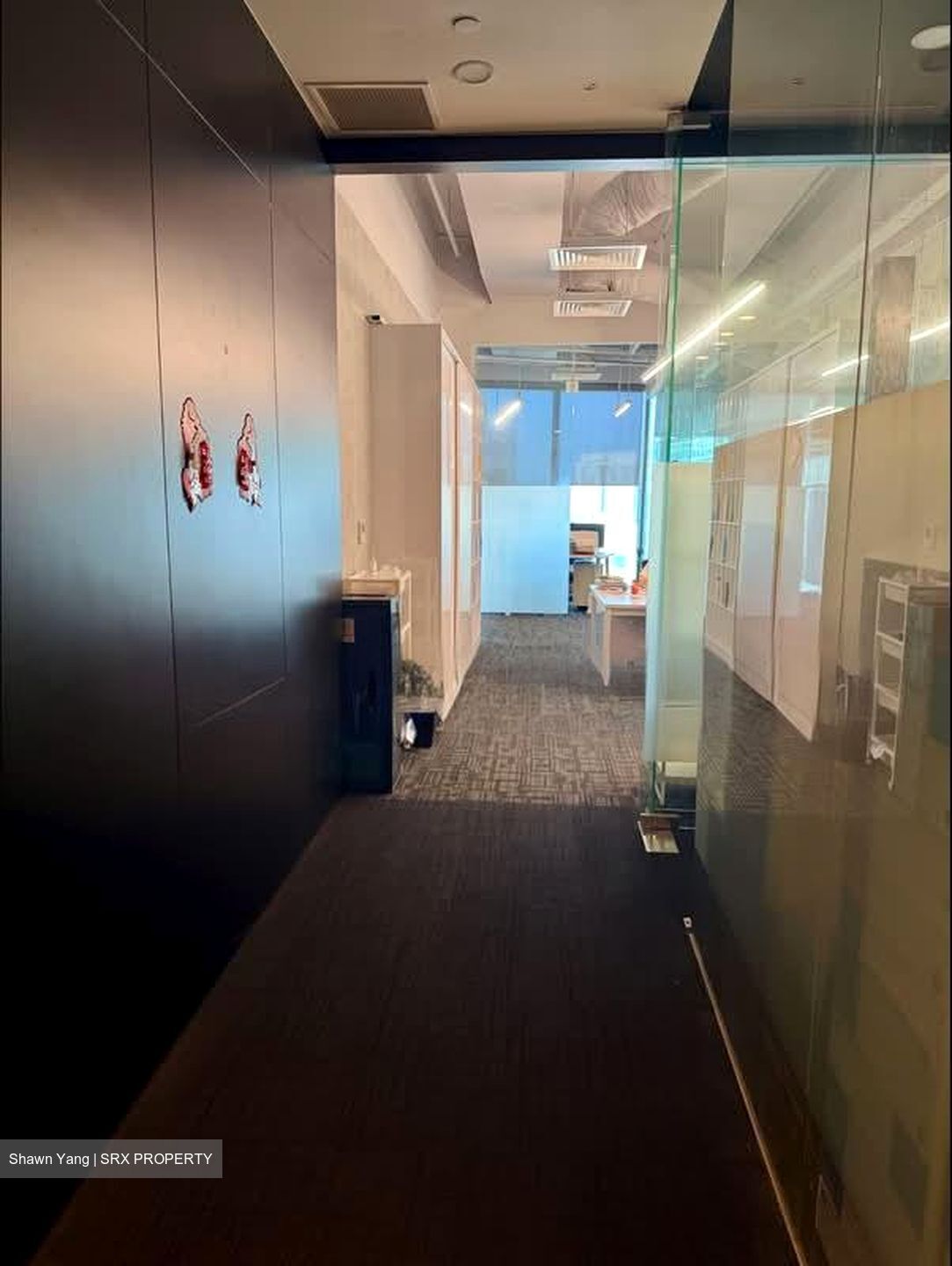 PLUS (D1), Office #540479051